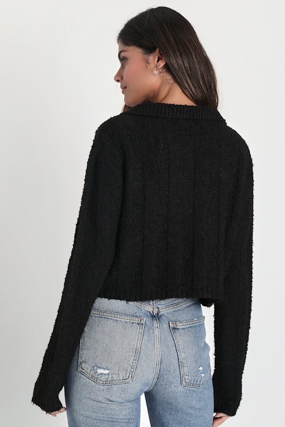Plush Comfort Black Long Sleeve Collared Cropped Sweater Top