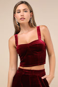 Sneak Peak Burgundy Velvet Bustier Crop Top