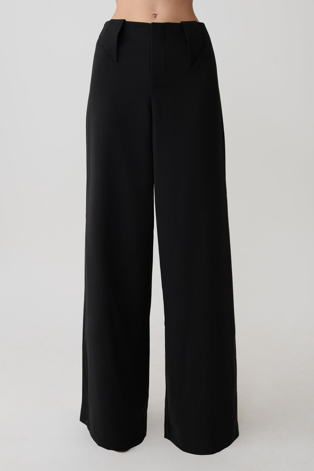Arlo Wide Leg Suiting Trouser - Black