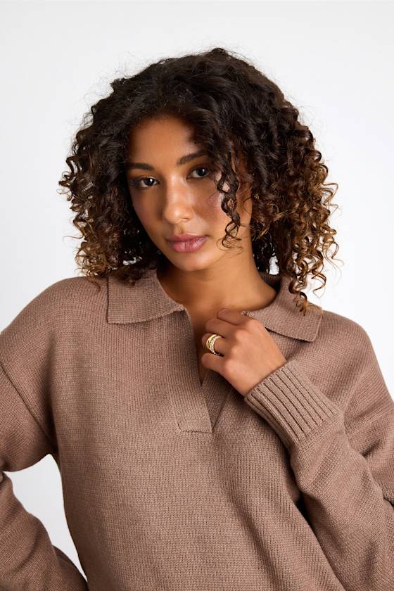 Cozy Forecast Light Brown Collared Pullover Sweater