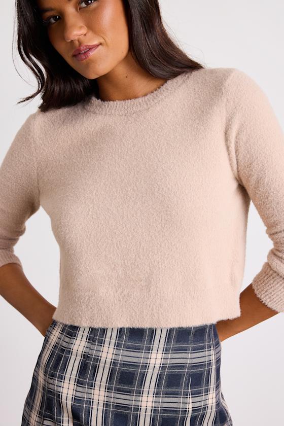 Shawnie Beige Crew Neck Cropped Pullover Sweater