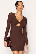 Birdie Brown Mesh Twist-Front Long Sleeve Mini Dress