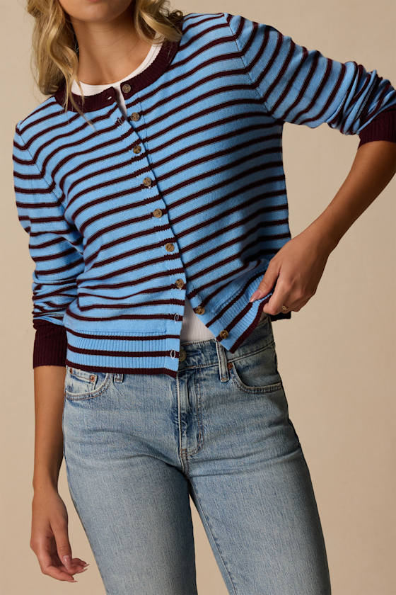 Becky Blue and Burgundy Striped Button-Up Cardigan